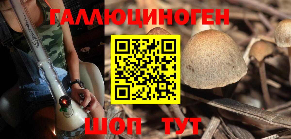 Наро-Фоминск  Галлюциногенные грибы мухоморы  Вход с VPN  Галлюциногенные грибы прущие грибы 